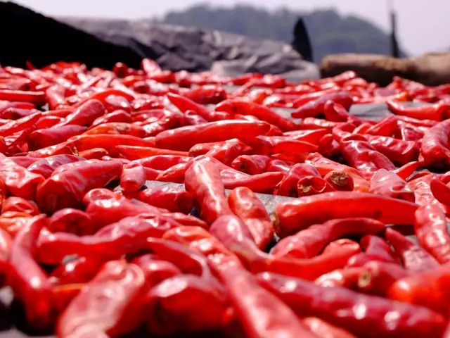 Chillies & Aromatics