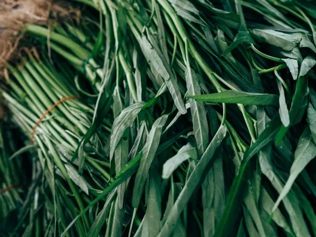 Leafy Greens