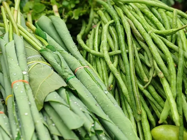 Gourds & Beans