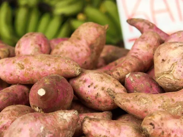 Root Vegetables